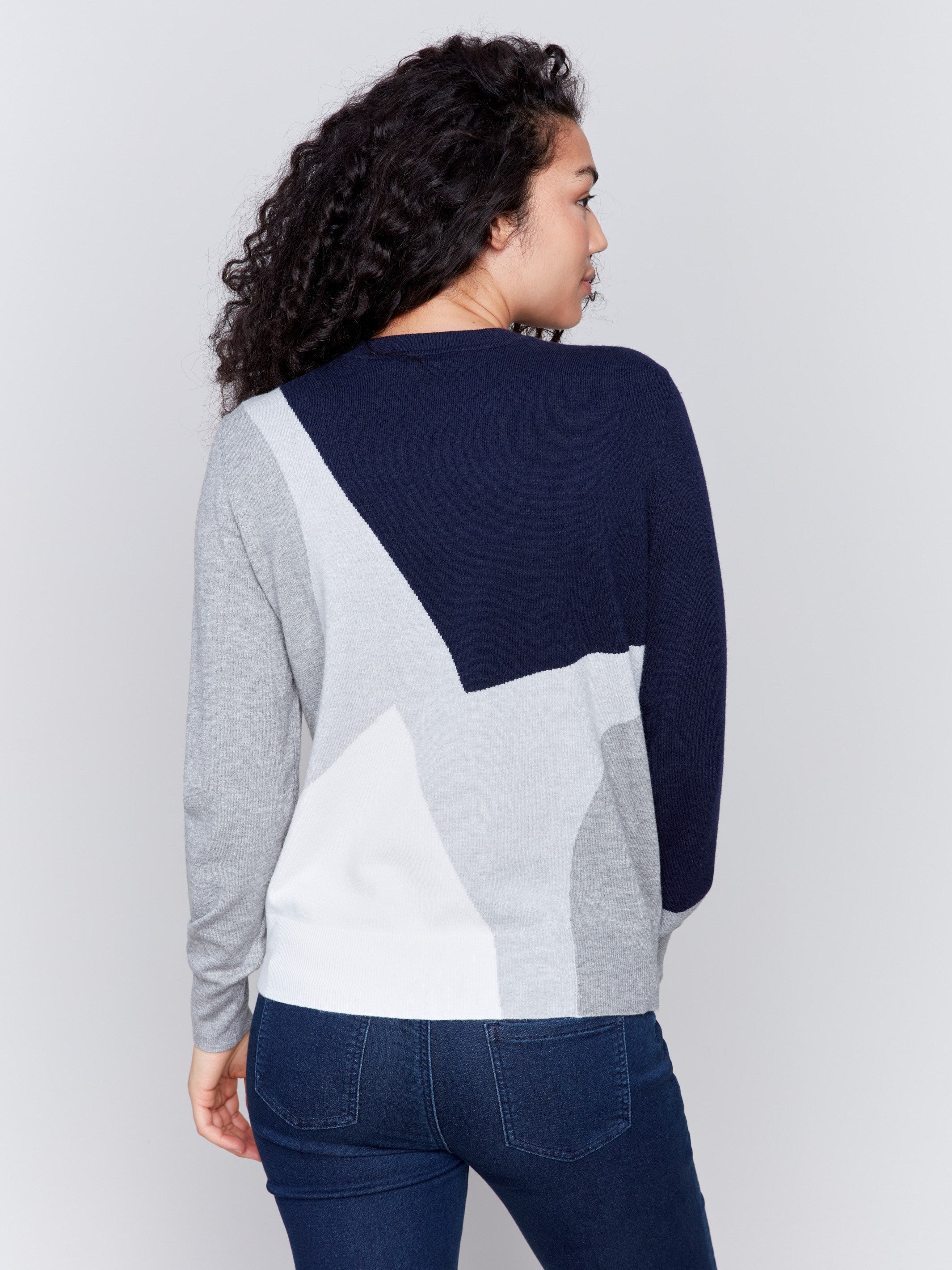 Color block sweater in shades of navy and grey with a crew neckline and long sleeves by Charlie B.