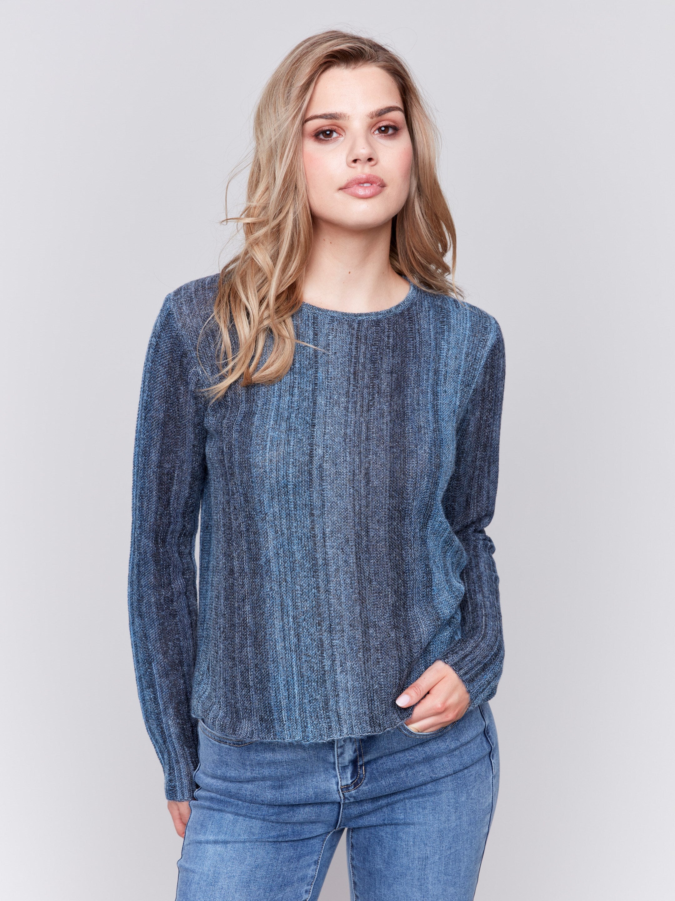 Denim blue ombre striped long-sleeved crop sweater with a crew neckline by Charlie B.